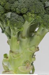 Photo Textures of Broccoli